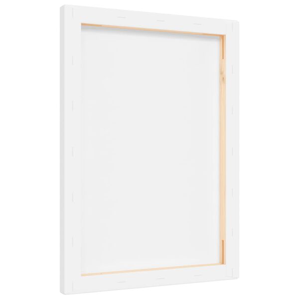 vidaXL Toiles &agrave; peindre 12 pcs blanc tissu et bois massif pin