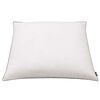 vidaXL Oreiller lot de 2 Remplissage de duvet 80 x 80 cm Blanc