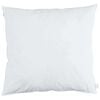 vidaXL Oreiller avec oreiller 2 pcs Blanc 40 x 40 cm Plume