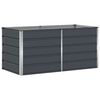 vidaXL Jardini&egrave;re Anthracite 160 x 80 x 75 cm Acier