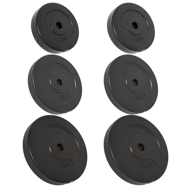 vidaXL Plaques de poids 6 pcs 30 kg B&eacute;ton