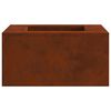 vidaXL Foyer de chemin&eacute;e Marron 60 x 60 x 30 cm Acier patin&eacute;