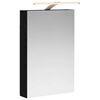 vidaXL Armoire Miroir de Salle de Bain Ch&ecirc;ne noir 40 x 10,5 x 60,5 cm