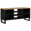 vidaXL Meuble TV 100x33x46 cm bois de manguier et d'ing&eacute;nierie