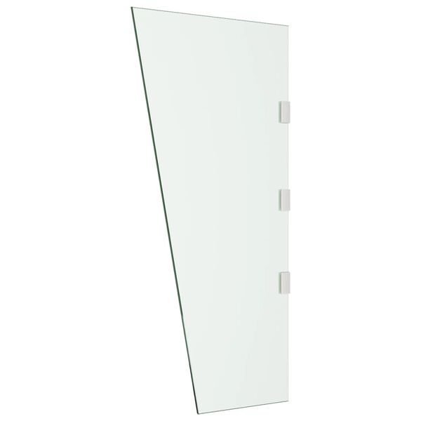 vidaXL Panneau d'auvent de porte Transparent 50x100 cm Verre tremp&eacute;
