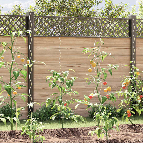 vidaXL Supports de plantes en spirale 5 pcs Acier galvanis&eacute; 170 cm