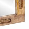 vidaXL Miroir de salle de bain avec miroir Marron 50 x 2,5 x 70 cm