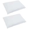 vidaXL Oreiller avec oreiller 2 pcs Blanc 60 x 70 cm Plume