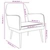 vidaXL Fauteuil Gris clair 62x79x79 cm Velours