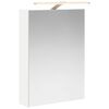 vidaXL Armoire Miroir de Salle de Bain Blanc 50 x 14,5 x 70 cm