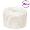 vidaXL Corde de travail Blanc 20 mm 100 m polypropyl&egrave;ne