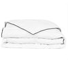 vidaXL Couette en duvet d'hiver 200 x 200 cm