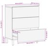 vidaXL Buffet 60x33,5x75 cm bois de manguier brut massif
