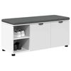 vidaXL Banc d'entr&eacute;e avec coussin Uni Blanc 100 x 38 x 46 cm
