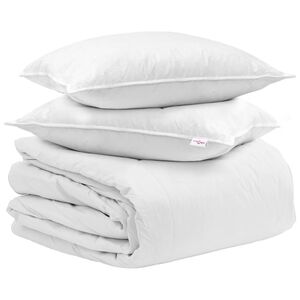 vidaXL Ensemble de Duvet avec oreiller 3 pc Blanc Plume de canard