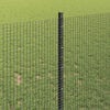 vidaXL Cl&ocirc;ture avec poteau Gris 1 x 50 m Acier et PVC