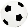 vidaXL Ensemble de buts de football enfant avec panneau 120x51x77,5 cm