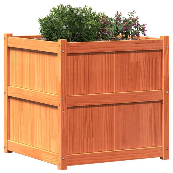 vidaXL Jardini&egrave;re cire marron 70x70x70 cm bois de pin massif