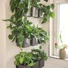LECHUZA 3 pcs Jardini&egrave;res Green Wall Home Kit Anthracite brillant