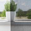 vidaXL Rideaux en voile avec &oelig;illets 2 pcs noir 140x300 cm