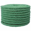 vidaXL Corde en coton 20 mm 50 m Vert 100% Coton