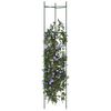 vidaXL Cages &agrave; tomates 4 pcs 154 cm acier et PP