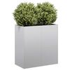 vidaXL Jardini&egrave;re 80x40x80 cm acier galvanis&eacute;