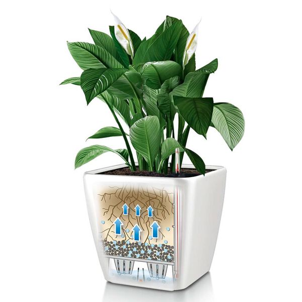 LECHUZA Jardini&egrave;re QUADRO LS 35 ALL-IN-ON blanc brillant 16160