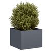 vidaXL Jardini&egrave;re anthracite 40x40x30 cm acier