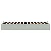vidaXL Cadre de lit ottoman sans matelas gris clair 80x200 cm velours