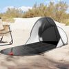 vidaXL Tente de plage gris escamotable imperm&eacute;able