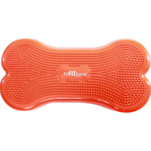 FitPAWS Plate-forme d'&eacute;quilibre pour animaux de compagnie 58x29x10 cm