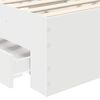 Vignette du produit 10 sur 14