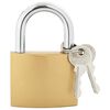 vidaXL U Lock avec Cl&eacute;s 50 pcs Laiton Fer