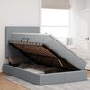 vidaXL Lit avec rangement et matelas Gris clair 120 x 200 cm Polyester