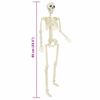 vidaXL Squelette d'Halloween 2 pcs Blanc 85 cm PVC