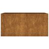 vidaXL Jardini&egrave;re 80x40x40 cm acier corten