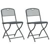 vidaXL Chaises de jardin 2 pc Anthracite Fer Convertible