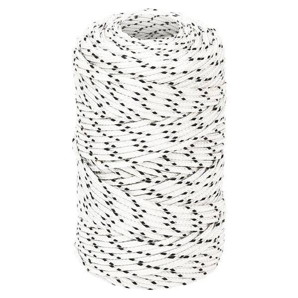 vidaXL Corde de bateau tress&eacute; Blanc 2 mmx250 m Polyester