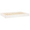 vidaXL Lit pour chien Blanc 91,5x64x9 cm Bois de pin solide