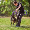 Ferplast Outil de fitness pour chiens Puller Standard Violet 2 pcs