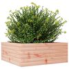 vidaXL Jardini&egrave;re 60x60x23 cm bois massif douglas