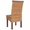 vidaXL Chaises &agrave; manger lot de 2 marron rotin naturel