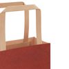 vidaXL Sacs en papier 50 pcs avec poign&eacute;es rouge 21x11x28 cm