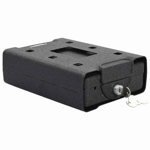 vidaXL Coffre de voiture avec verrouillage Noir 22 x 16 x 7 cm Acier