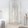 vidaXL Cabine de douche ESG d&eacute;poli 80x80x180 cm