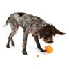 West Paw Jouet pour chiens avec Zogoflex Toppl Orange mandarine S