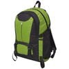 vidaXL Sac &agrave; dos de randonn&eacute;e 40 L noir et vert