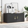 vidaXL Armoire de rangement Noir 90 x 40 x 40 cm Acier