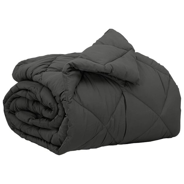 vidaXL Duvet complet toute l'ann&eacute;e Anthracite 220 x 140 cm Microfibre